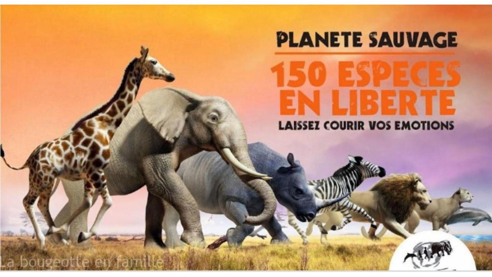 "La Voute De Pierre" Gite Independant Saint-Cyr  Luaran gambar